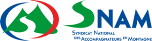 Logo SNAM